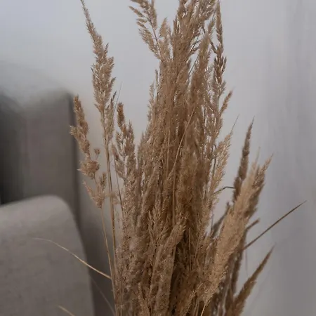 Munn 3 Apartment Szczecin