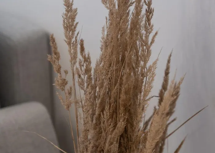 Munn 3 Apartment Szczecin