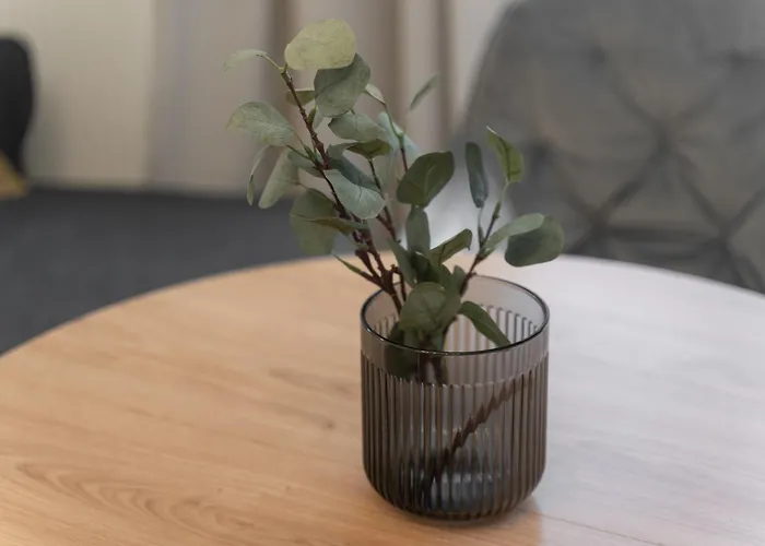 Apartment Munn 3 Stettin